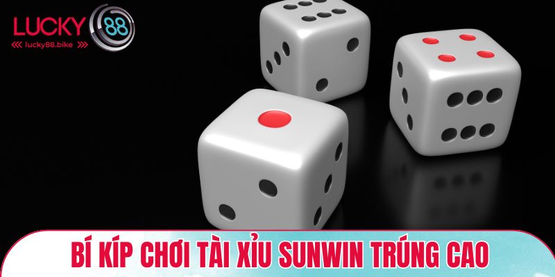 Bí kíp chơi tài xỉu Sunwin xác suất trúng cao