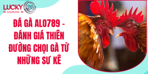 đá gà alo789 tại lucky88