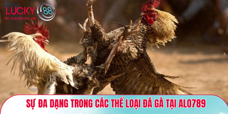 Sự đa dạng trong các thể loại đá gà tại ALO789